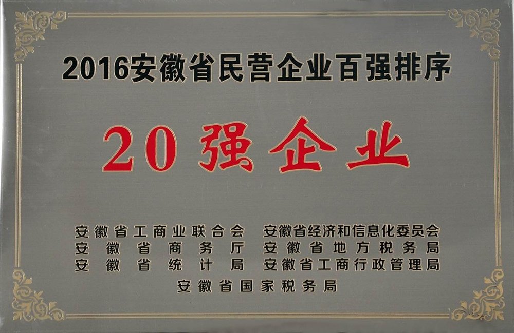 安徽省民營(yíng)20強(qiáng)企業(yè)